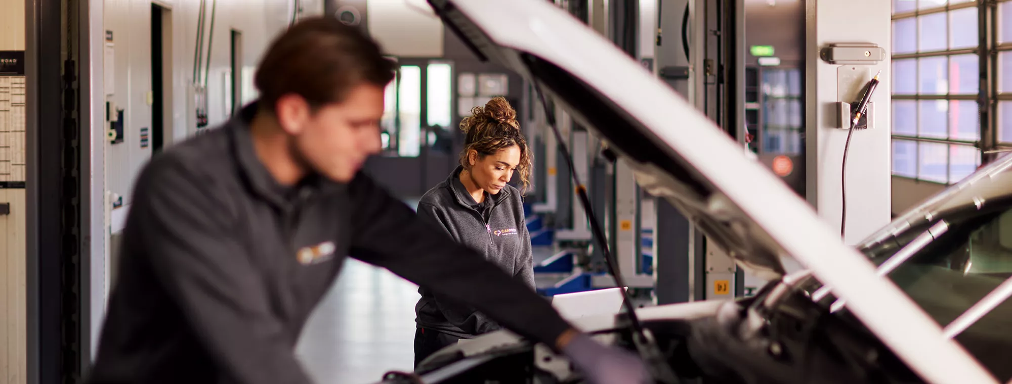 Autobedrijf voor alle merken Hoogstraten