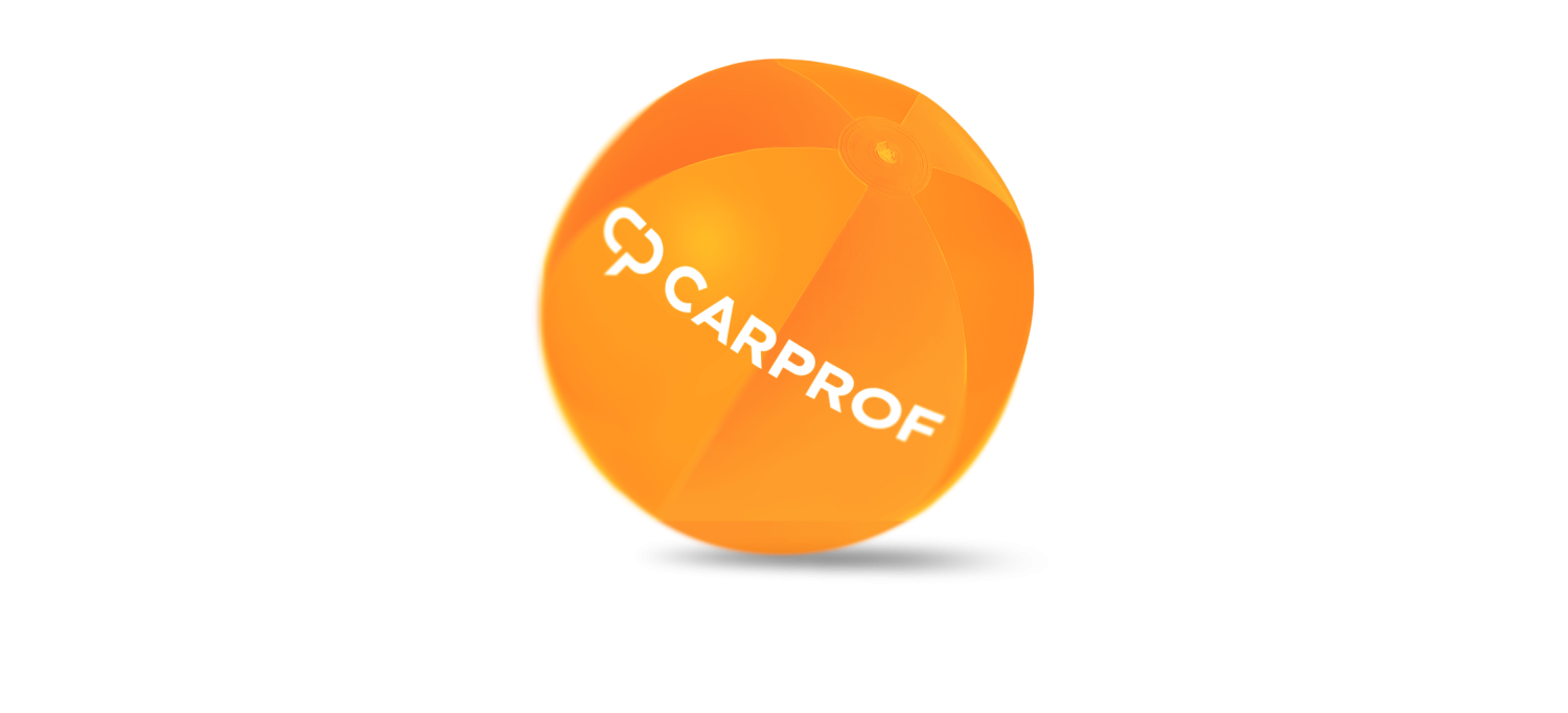 Carprof strandballenactie