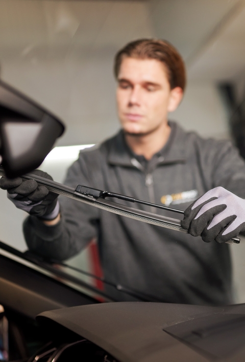 Ruitenwissers Maasmechelen